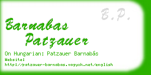 barnabas patzauer business card