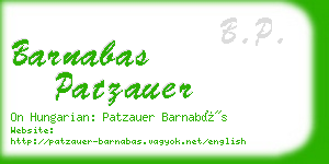 barnabas patzauer business card